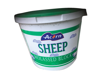 Acorn Sheep bucket