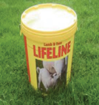 Lifeline bucket