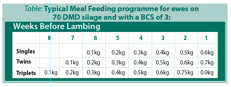 Typical Meal Feeding Programme