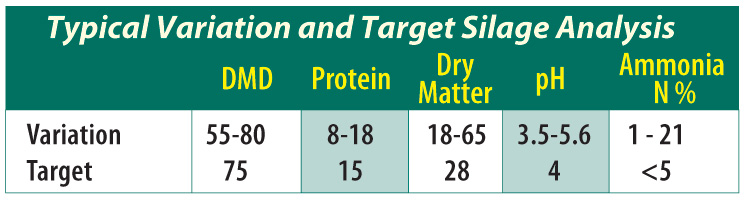Typical Variation and Target Silage Analysis