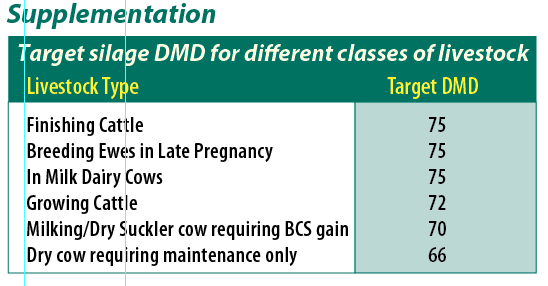 DMD Supplementation silage