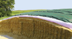 Clamp Silage web