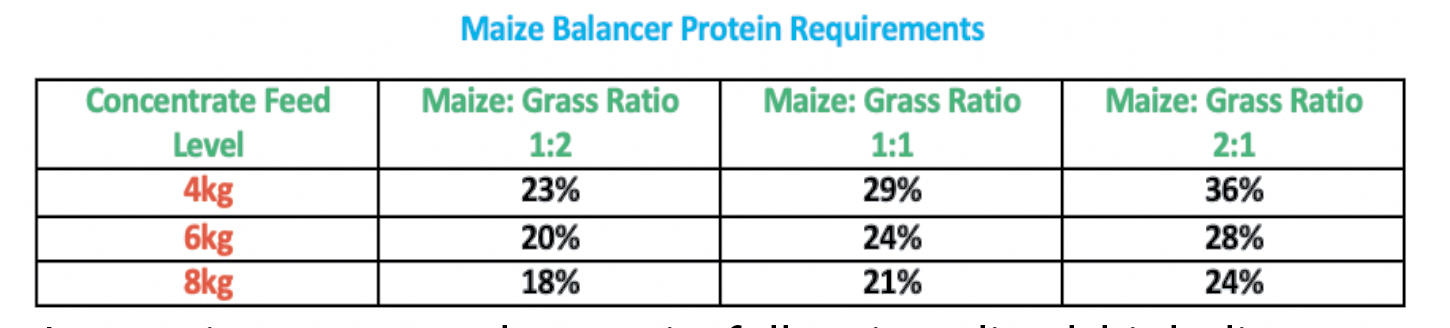 maize balancer diet 2