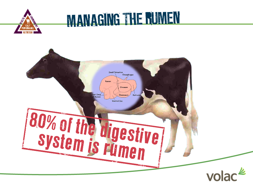Managing the Rumen