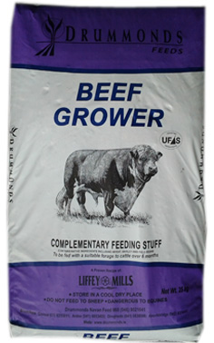 Beef Grower 16%